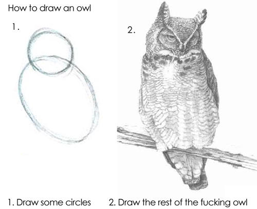 1. Two sketched circles. "Draw some circles." 2. A highly detailed drawing of an owl. "Draw the rest of the f***ing owl." 